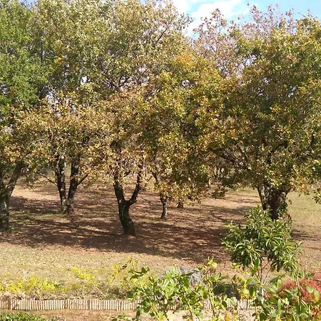 Les Gites Du Domaine Olea ゲストハウス ル・ビュグ
